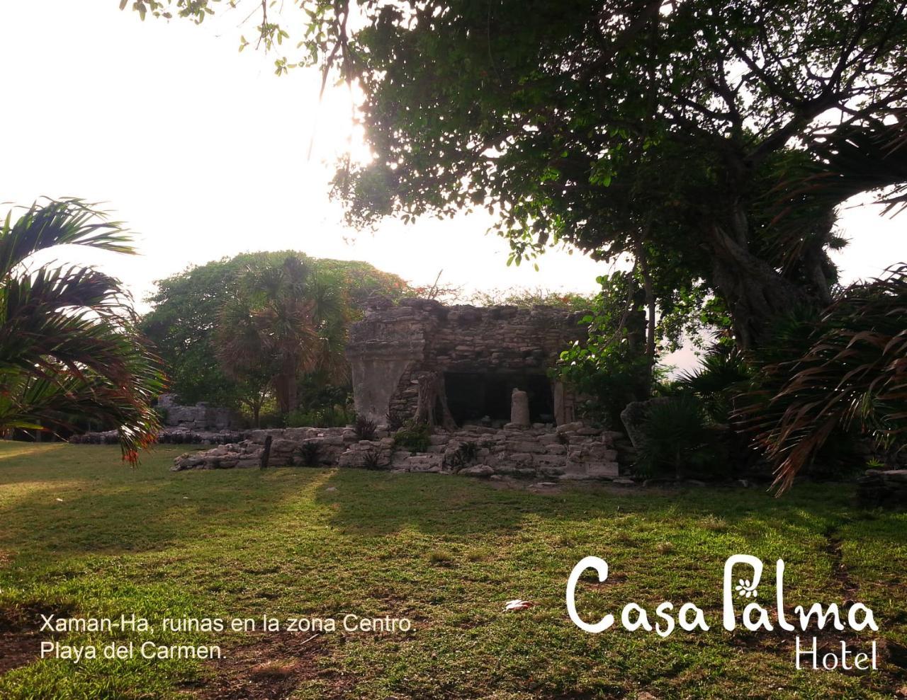 Casa Palma Hotel Playa del Carmen Luaran gambar
